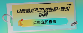 抖音最新引流创业粉+变现保姆式教程 直接无脑套模板即可-新发现项目网新发现项目网