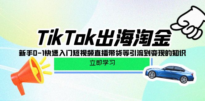 TikTok-出海淘金，新手0-1快速入门短视频直播带货等引流到变现的知识-新发现项目网新发现项目网